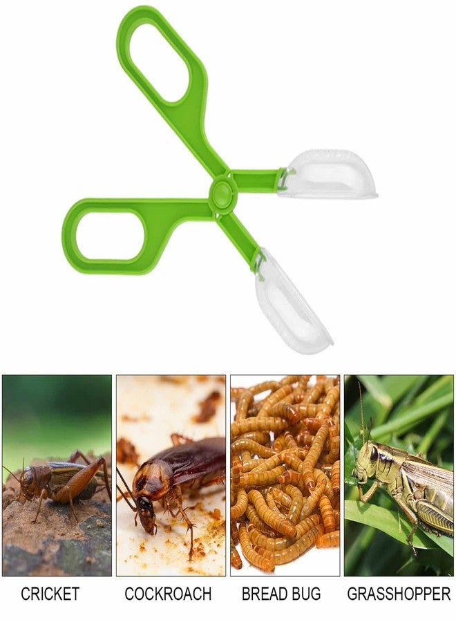 Caylingdee Reptile Feeding Clamp Reptile Poop Scoop Cage Fish Tank Cleaning Tools Green Feeding Tool Feeding Clamp Litter Clamp for Gecko Lizard Bearded Dragon - Image 5